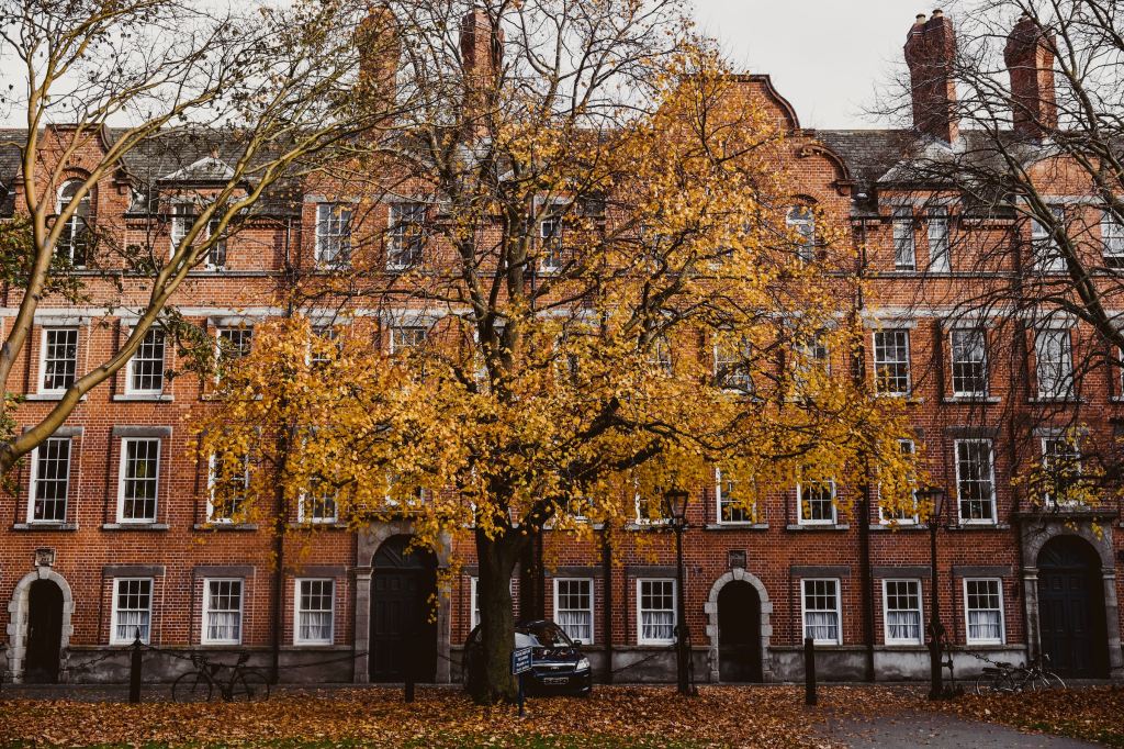 GIVEN OUR HISTORY release date, plus some writing&nbsp;updates